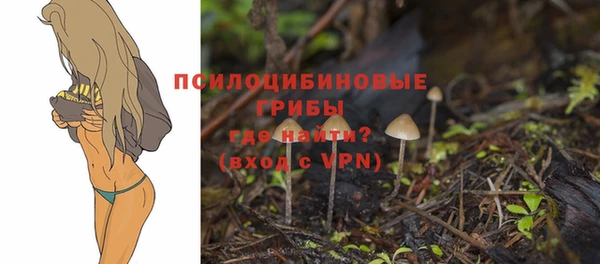 первитин Верхнеуральск
