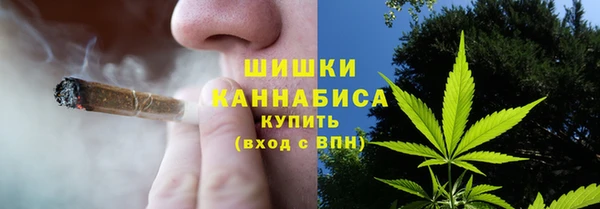 ГАЛЛЮЦИНОГЕННЫЕ ГРИБЫ Верея