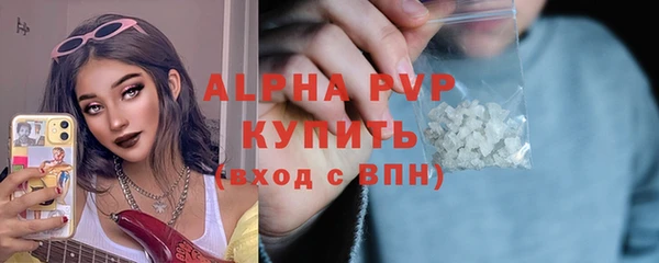 ГАЛЛЮЦИНОГЕННЫЕ ГРИБЫ Верея