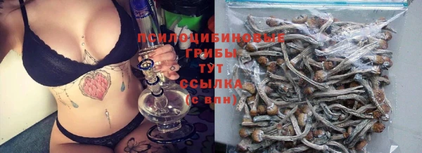 ГАЛЛЮЦИНОГЕННЫЕ ГРИБЫ Верея