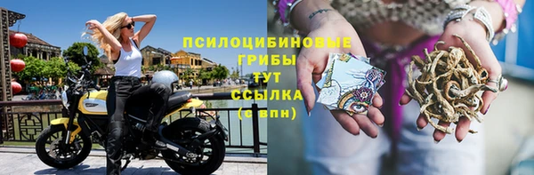 ГАЛЛЮЦИНОГЕННЫЕ ГРИБЫ Верея