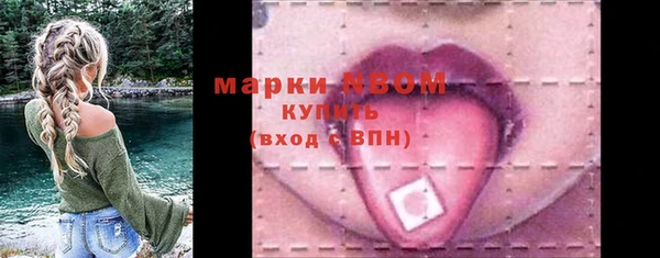 ГАЛЛЮЦИНОГЕННЫЕ ГРИБЫ Верея