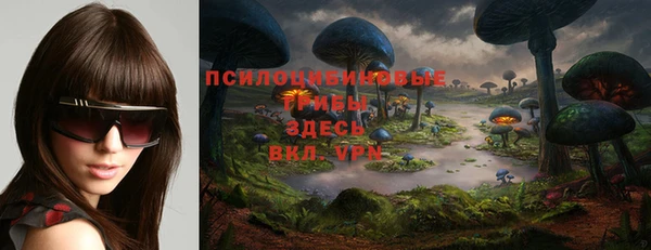 ГАЛЛЮЦИНОГЕННЫЕ ГРИБЫ Верея