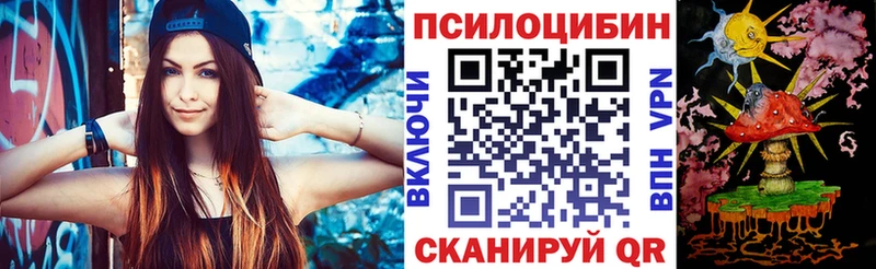 где можно купить наркотик  Нытва  Галлюциногенные грибы Psilocybe 